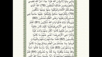سورة غافر من اية 79 / 85