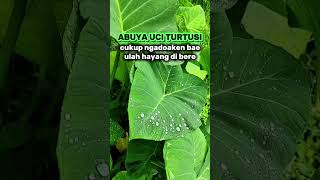 Download Lagu CUKUP NGADOAKEN BAE ULAH HAYANG DI BERE | ABUYA UCI TURTUSI MP3