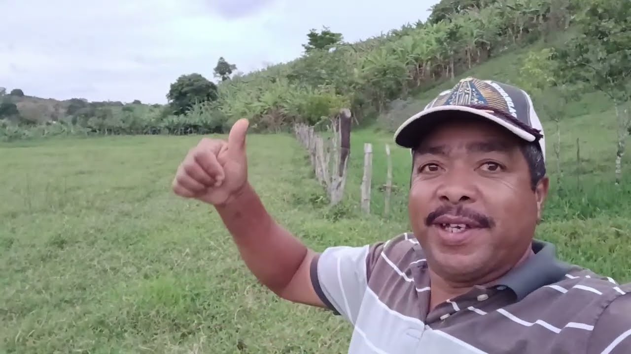Café da noite com valmira comida caseira + Preparação do bolo de milho 🌽 verde 😋