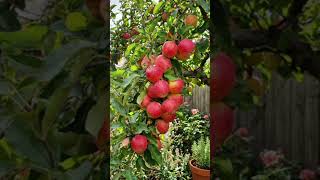 #beautiful #wazifa#islamic short ♥️🧡💛💚❤️♥️🧡💛💚❤️♥️🧡💛💚❤️