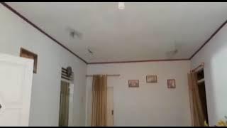 Suara panggil walet terbaik langsung masuk