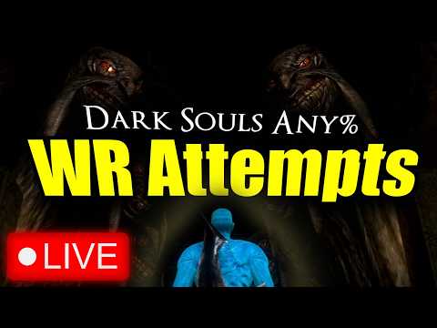 QueueKyoo live stream preview