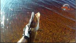 Under water attack, Jerkbait, Goodcat Green on Lakes screenshot 4