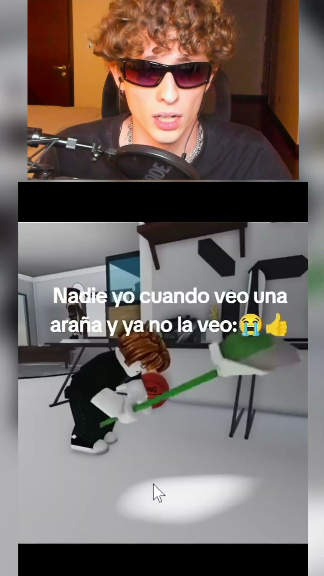 Que miedo las ARAÑAS?