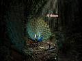 Peacock vs Cobra #aishorts WildlifeFight #aishorts703