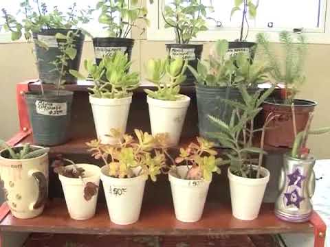 rio gallegos weather CARLOS SANCHEZ- MAÑANA NUEVA FERIA DE PRODUCTORES FRUTIHORTÍCOLAS