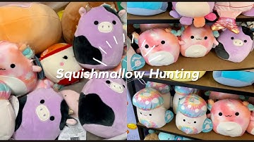 Squishmallow Hunting | I Found Alexie | New Squad At Hallmark | Mini Hunt | Purple Cow