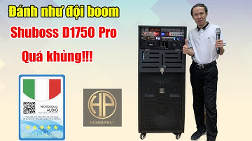 Review Dàn Loa Điện Di Động 4 Tấc Đôi Công Suất Lớn Shuboss D1750 Pro - Quá Kinh Khủng
