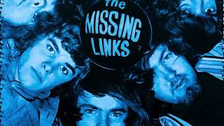 The Missing Links - We 2 Should Live