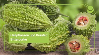 Für was ist Bittermelone gut?
