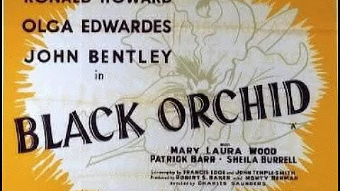 The Black Orchid (1953) (UK crime b-movie with Ronald Howard & Olga Edwardes)