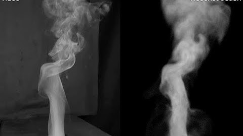 Coupled Fluid Density and Motion from Single Views (Computer Graphics Forum)