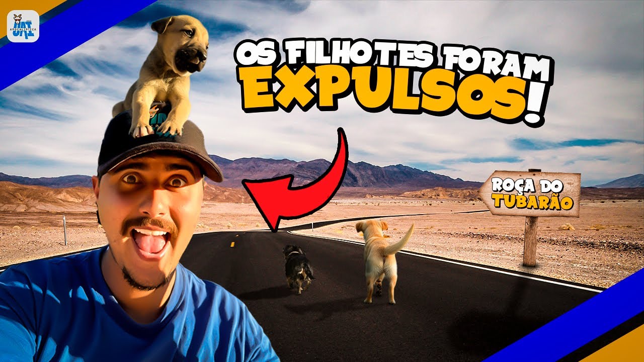 ELES VÃO TER QUE SE MUDAR 🙀*a coisa ficou feia