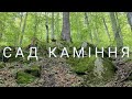 Похід вихідного дня: Незнаними стежками до озера Івор. Сад каміння  Червень &#39;23