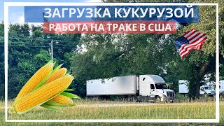 Работа на траке в США. Загрузка кукурузой на ферме.