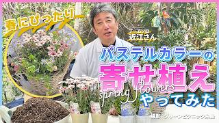 Pastel colored plantings - YouTube
