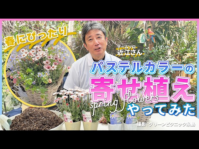 パステルカラーの寄せ植え - YouTube