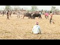 Putul Deka moh//Iddis Ali Moh//digen Bordoloi moh//