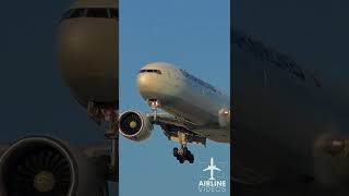 Turkish Airlines Boeing 777 LAX Arrival