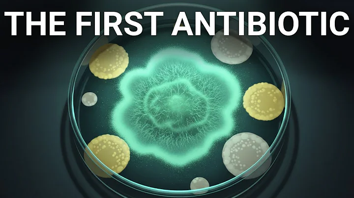 Penicillin: The Accident That Saved Millions