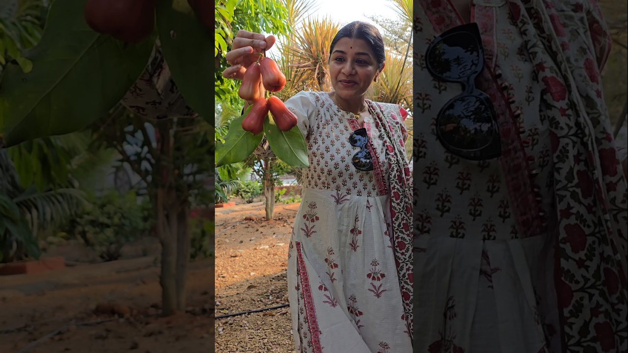 our farm land #veenasrivani