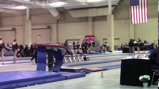 Hannah E. Stallings Vault 9.400 2018-02-24 Charleston Cup