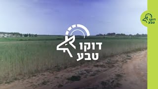 דוקו טבע – מסדרונות אקולוגיים: אם לא נתעורר, לא יישאר לנו טבע