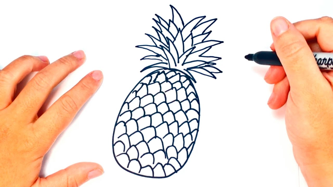 Cómo dibujar una Piña paso a paso | Dibujo fácil de Piña - thptnganamst.edu.vn
