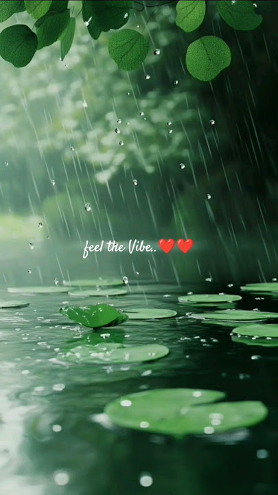 Rain Whatsapp Status🌧️🌳 #rain #weather