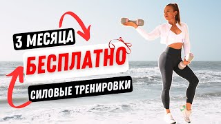 картинка: 12 недель готовых силовых тренировок бесплатно с видом на море и шум прибоя