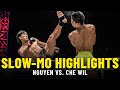 Nguyen Tran Duy Nhat vs. Azwan Che Wil | Slow-Mo Fight Highlights