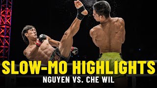 Nguyen Tran Duy Nhat vs. Azwan Che Wil | Slow-Mo Fight Highlights