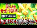 【衝撃の展開】いやしのねがい型メガミミロップがカバルドンに対して強すぎる件www【ポケモンチャンピオンズ / ポケチャン対戦実況】