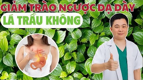 Giảm Trào Ngược Dạ Dày Bằng Lá Trầu Không | Bác Sĩ Chiều