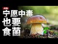 为什么宁愿中毒 云南人也要吃菌子 为什么宁愿中毒 云南人也要吃菌子