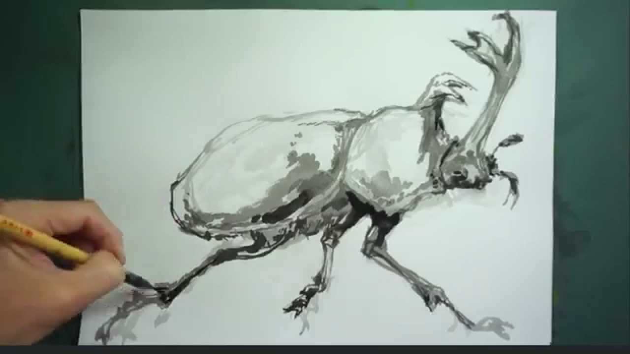 How To Draw 描き方 カブトムシ Beetle を墨でデッサン Youtube