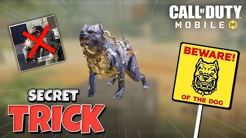 HOW TO COUNTER KUTTES "K9 UNIT" IN CODM?🐶 bhow.. bhow..