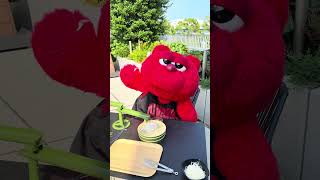 🎋 #七夕そうめんの日 ⭐食べ物が目の前にある時は いつも以上にご機嫌なうちのくまさん😌 をお届け🎥念願の #流しそうめん をしました🐻今年はお願い事よりも . . そうめんに夢中のようですね 🥢🌟
