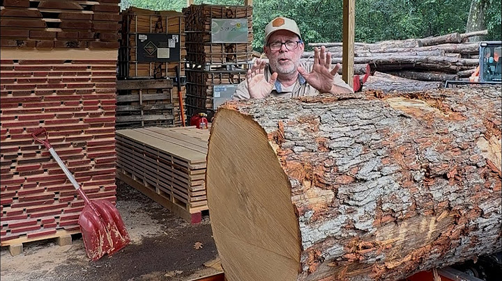 What's Inside this 210 Year Old White Oak! Older than the Rail Roads