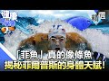 「菲魚」真的像條魚 揭秘菲爾普斯的身體天賦！【57健康同學會】精華篇｜廖慶學 許藍方