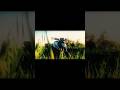 🏁 run to race KTM #explorepage #reels #love #ktm #fyp #india #tending #shorts #shortvideo #subscribe