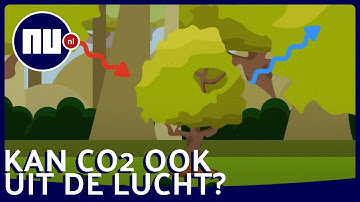 Van opvangen tot 