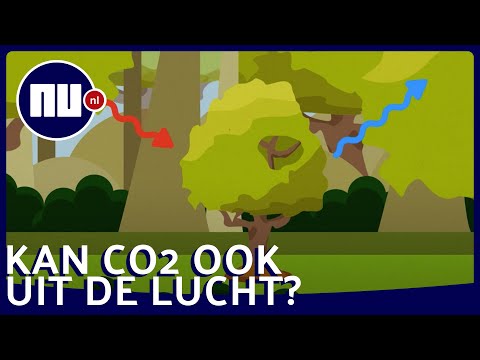 Video: Kan argon rechtstreeks uit de lucht worden gehaald?