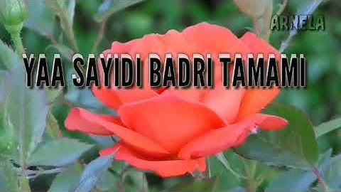 Ya sayyidi Badri Tamami