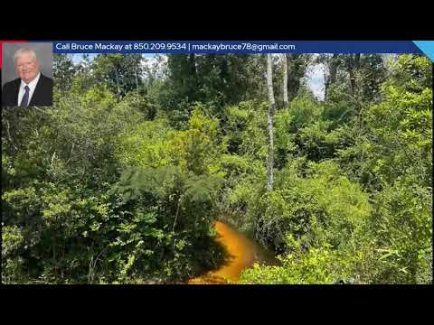 12339 Pinecrest Road, Fountain, FL home video tour