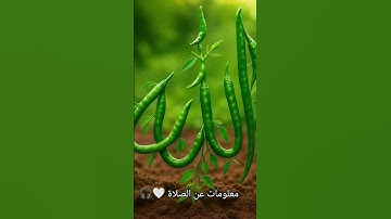 لا تهرب من إسم الله أكتب يا الله وانشر القرآن الكريم ❤️🤍