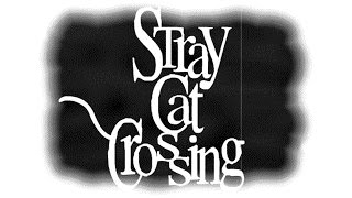 Details Stray Cat Crossing Demo - Manly Let's Play Update