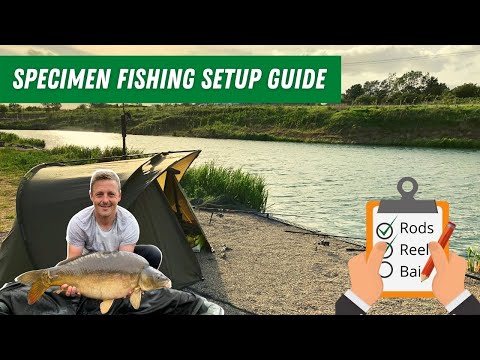 Carp Fishing: Beginners