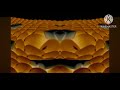 Samsung Logo Balls In Deaf Major Low Voice Sprightly 
