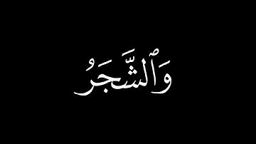 ألم ترى ان الله يسجد له من في السموات والارض | كرومات شاشة سوداء قران كريم | كرومات قران جاهزة